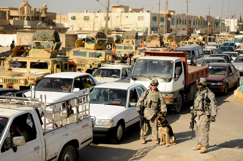 Working dogs in Baghdad