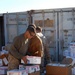 Arrival of packages