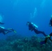 Wounded Warriors - Soldiers Undertaking Disabled Scuba