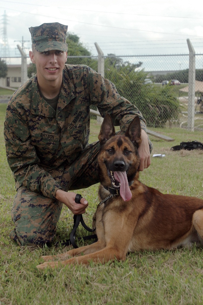 Military working dog