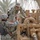 Patriots reflect on progress in eastern Baghdad