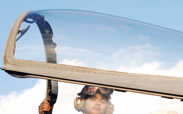 Cleaning a Hornet canopy