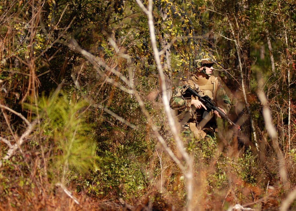 Training in Camp Shelby