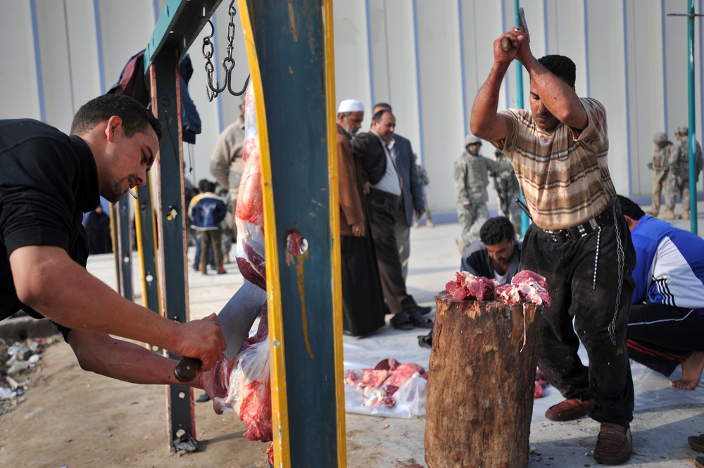 Cow donation in Baghdad