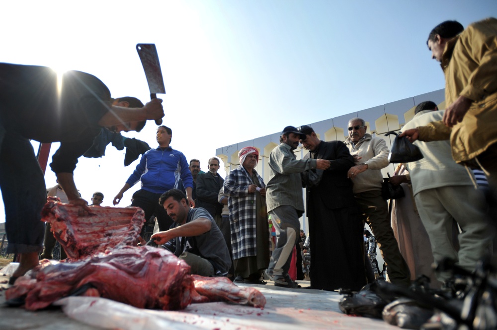 Cow donation in Baghdad