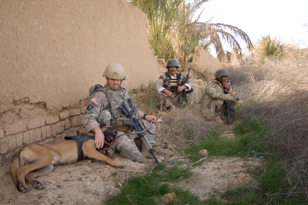 Cache search in Naqib