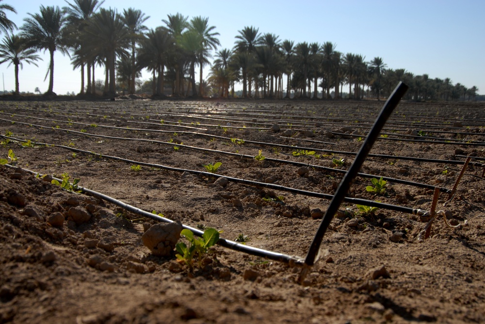 New Irrigation Project in Muehlah, Iraq