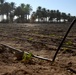 New Irrigation Project in Muehlah, Iraq