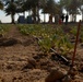 New Irrigation Project in Muehlah, Iraq