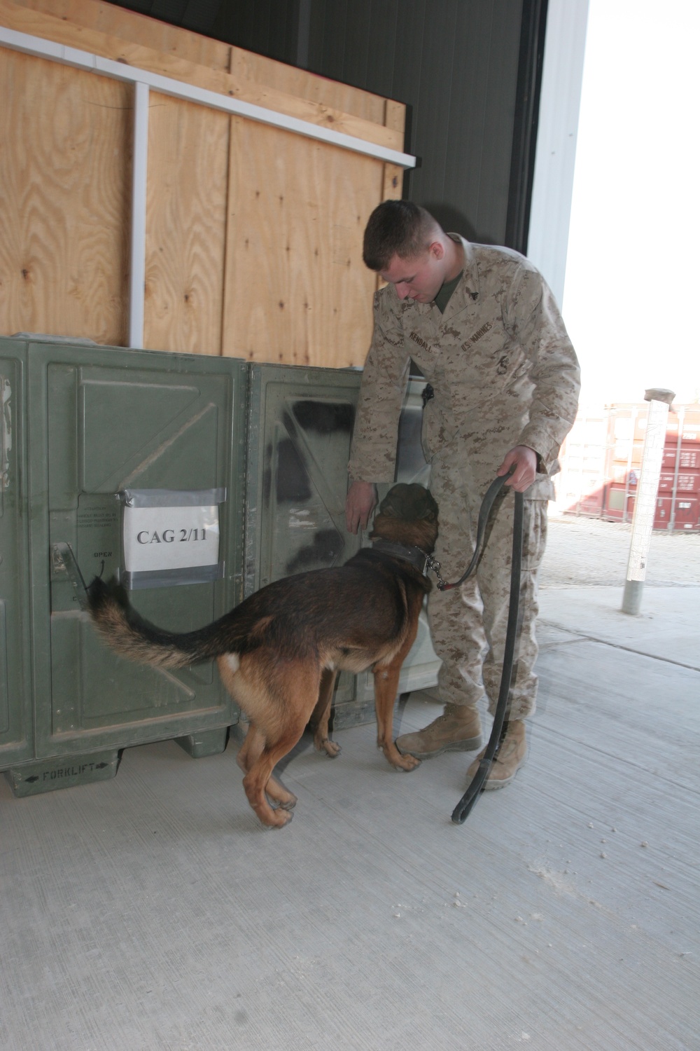Conducting a search with military working dog