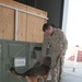 Conducting a search with military working dog