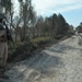 Patrol in Diyala Province of Iraq