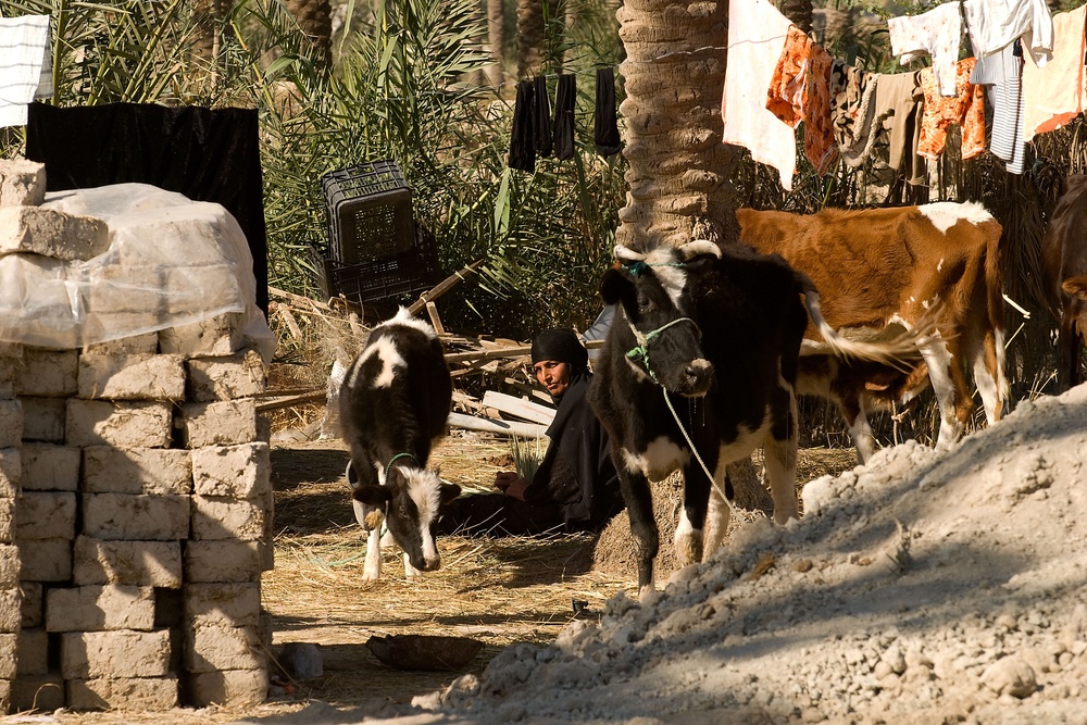 Presence patrol in Basra