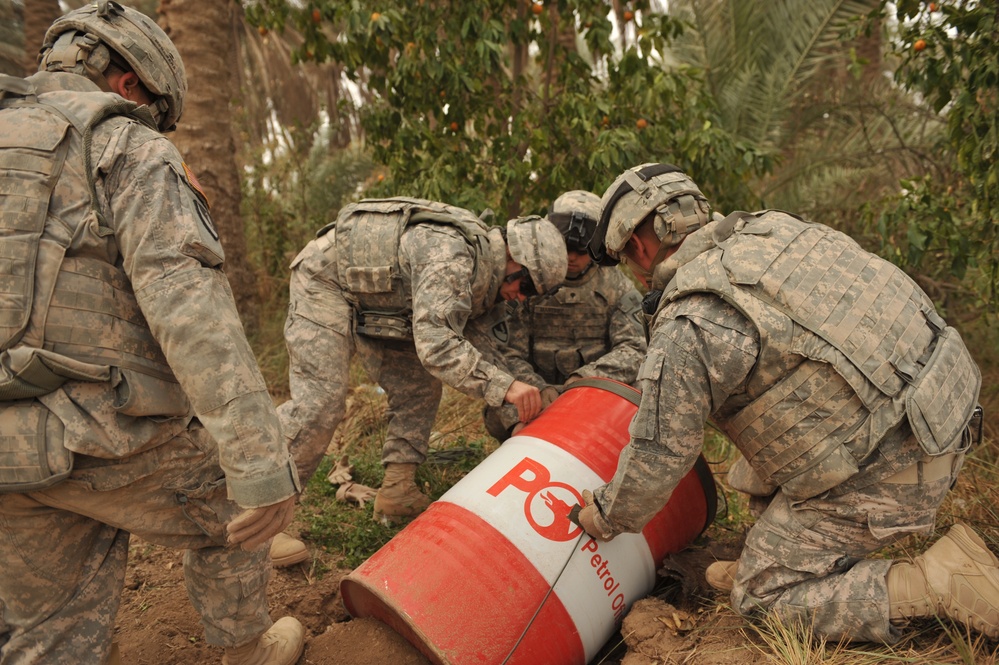 Controlled burns in Naqib palm groves