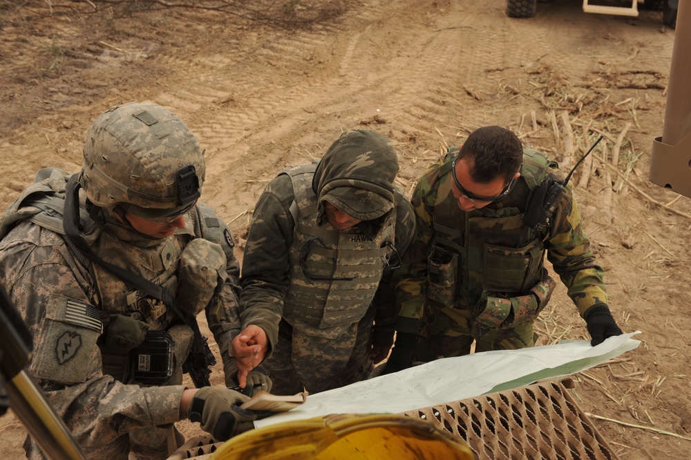 Controlled burns in Naqib palm groves