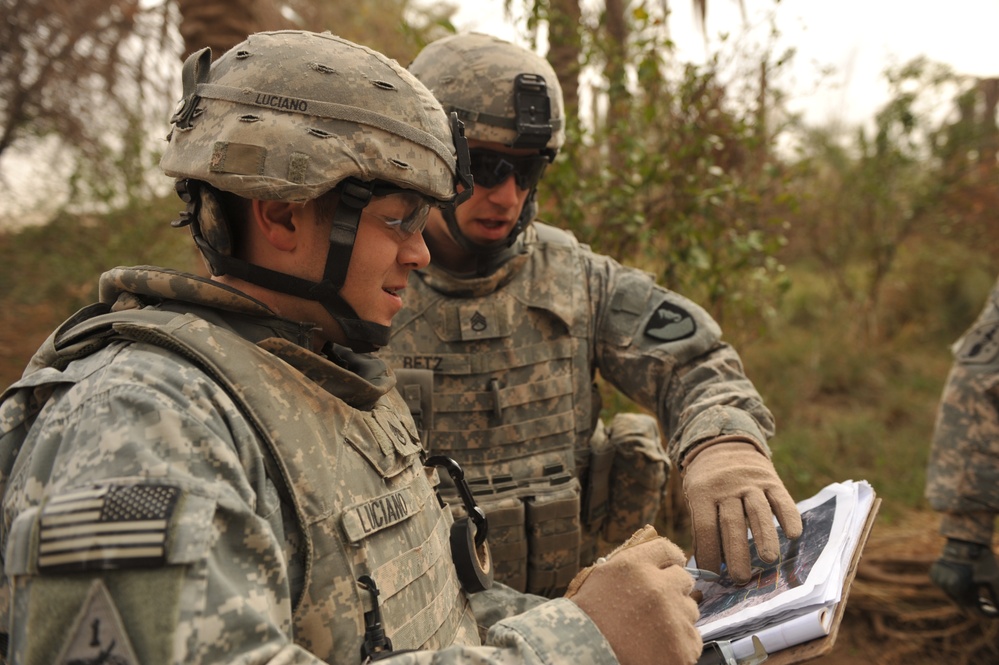 Controlled burns in Naqib palm groves