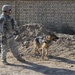 Presence patrol in Baghdad