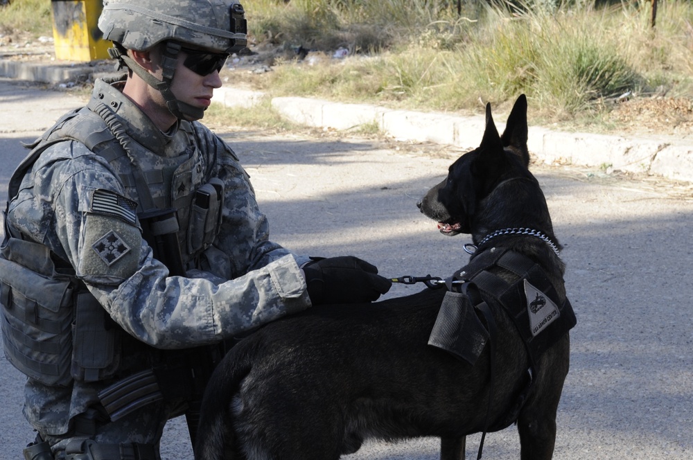 Patrol and search in Baghdad