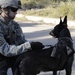 Patrol and search in Baghdad
