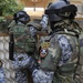 Patrol and search in Baghdad