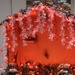Christmas at Forward Operating Base Loyalty
