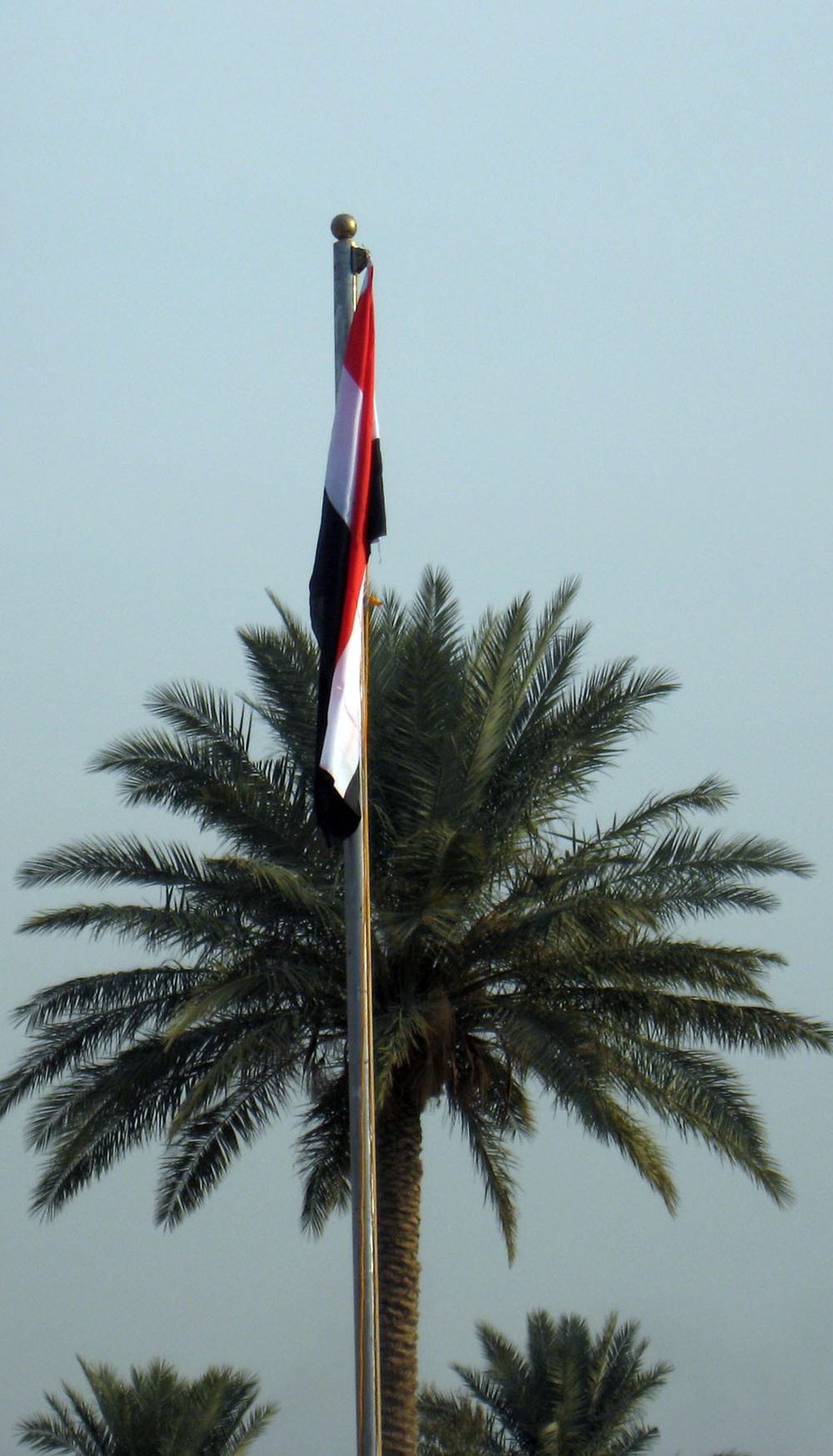 Iraqi national flag flies above Hor al Bash