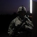 Wolfhounds keep Iraq safe at night