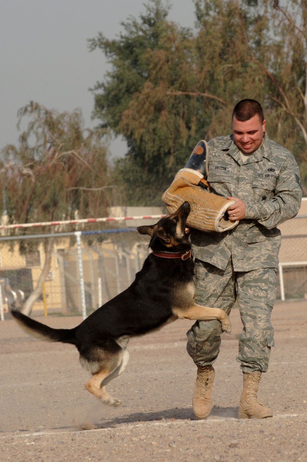 Military working dog training