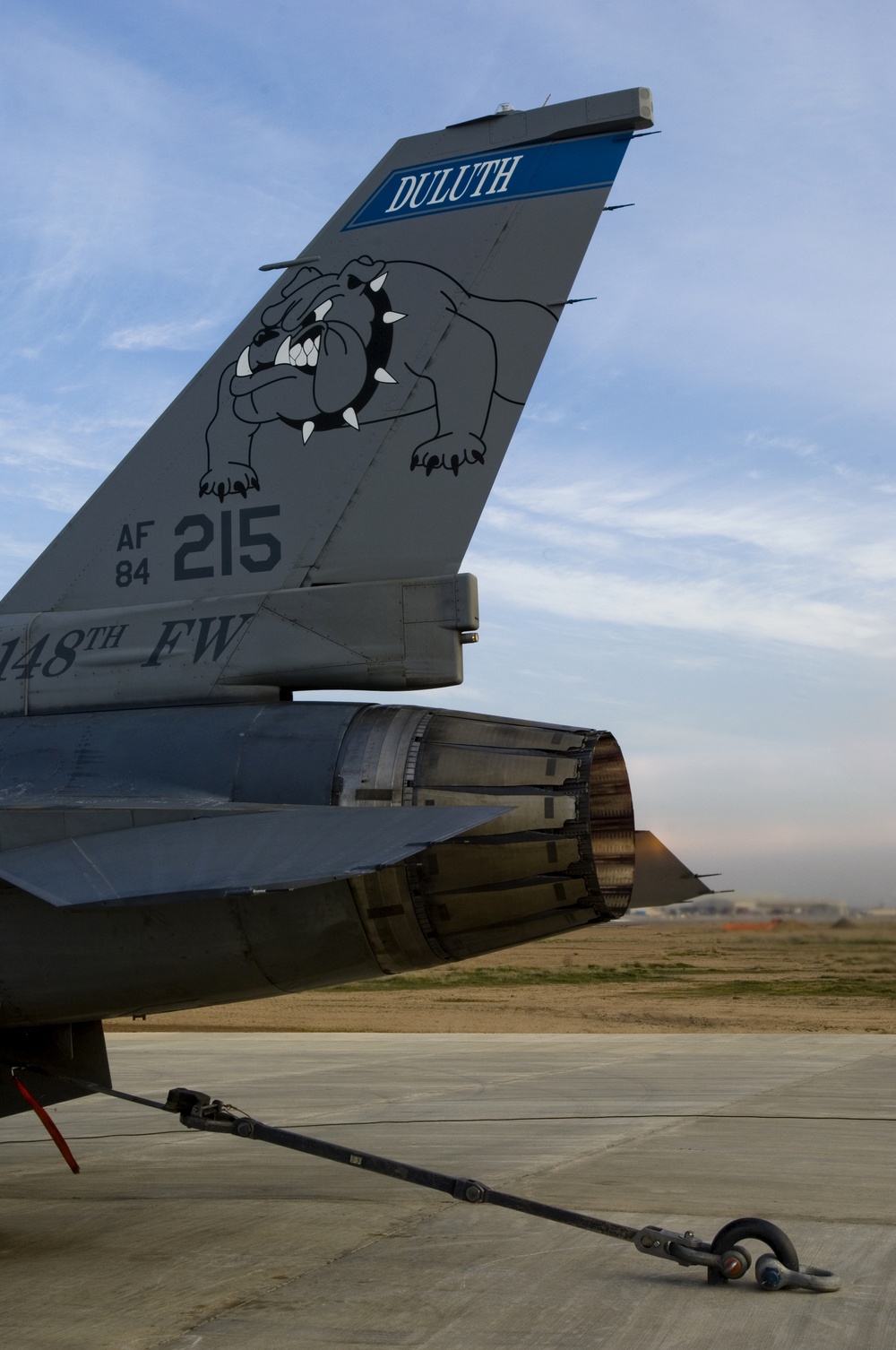 Close-up photograph of the tail section of a U.S. Air Force F-16 Fighting Falcon assigned to the 148th Fighter Wing based in Duluth, Minnesota. The tail displays the unit's bulldog mascot insignia, the aircraft serial number AF 84-215, and the word 'DULUTH' on a blue band at the top. A tail hook/arresting hook is visible on the tarmac below the aircraft.