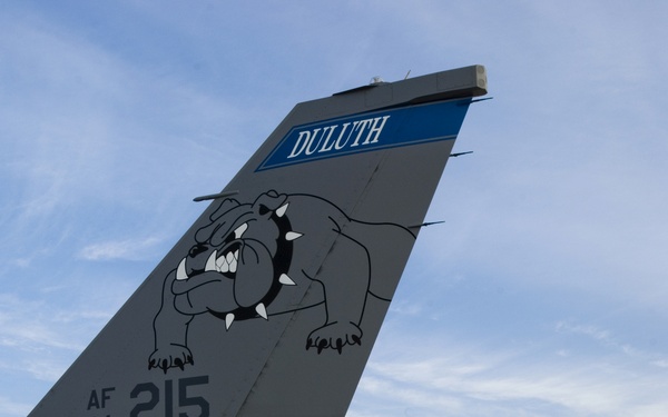 Close-up photograph of the tail section of a U.S. Air Force F-16 Fighting Falcon assigned to the 148th Fighter Wing based in Duluth, Minnesota. The tail displays the unit's bulldog mascot insignia, the aircraft serial number AF 84-215, and the word 'DULUTH' on a blue band at the top. A tail hook/arresting hook is visible on the tarmac below the aircraft.