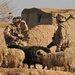Operation Sond Chara