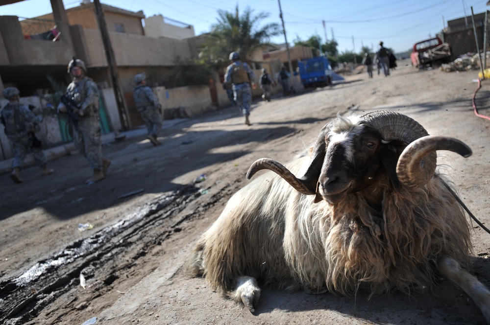 Joint U.S. Army, Iraqi police patrol