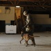 Working Dog Training at Forward Operating Base Echo