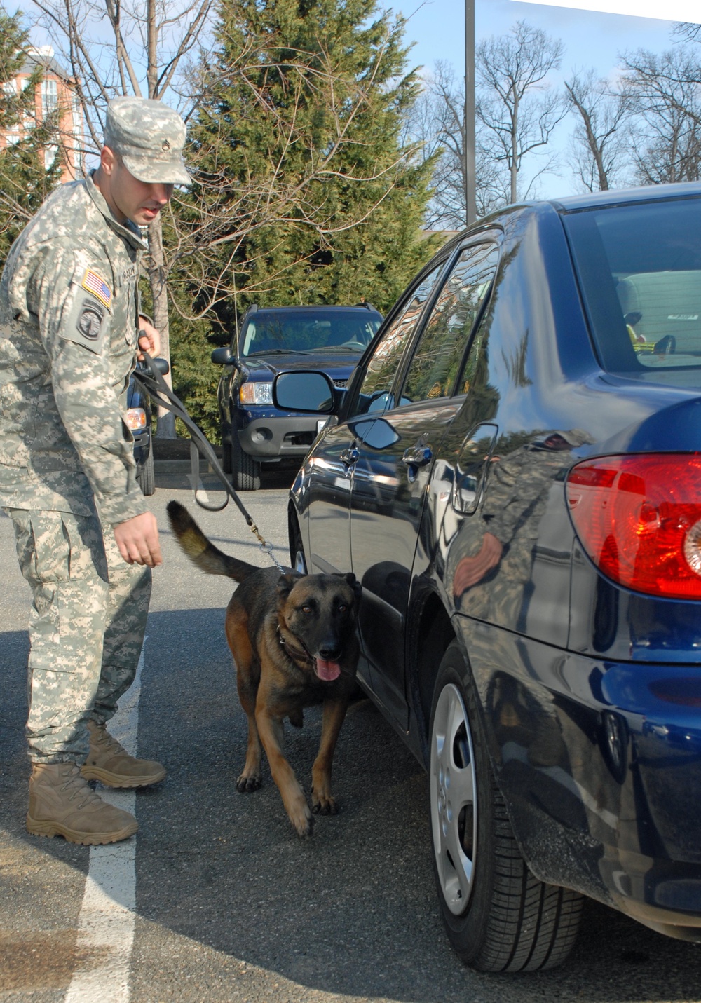 Military Police Dogs to Have Their Day As Part of Inauguration