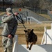 Military Police Dogs to Have Their Day as Part of Inauguration