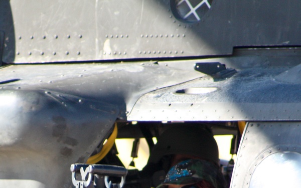 WWE Superstars and Divas Pay a Visit to Cacti Soldiers