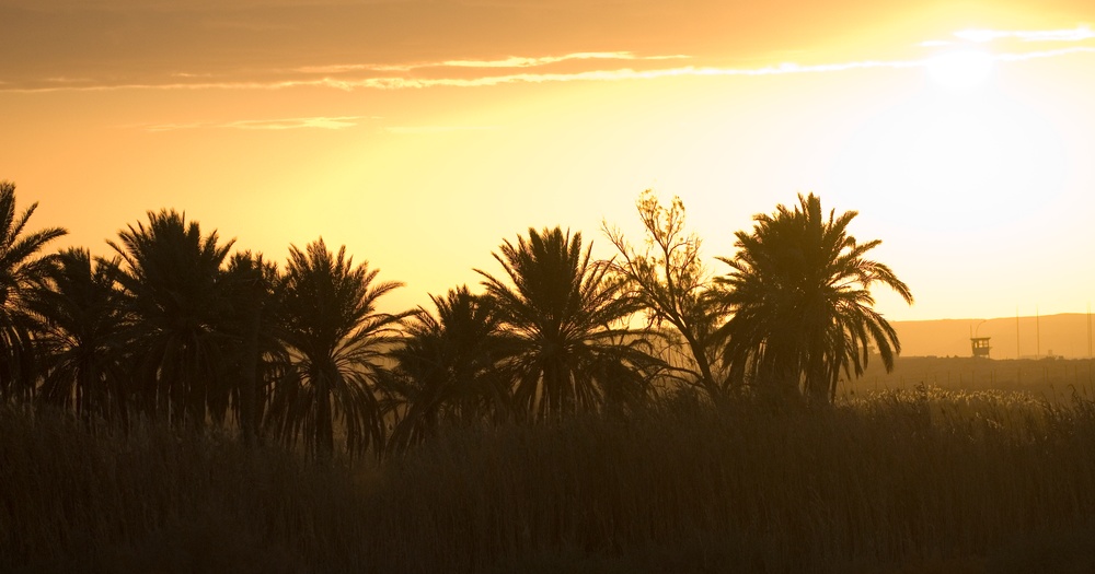 Ohio Guardsman, Nature Iraq partner to preserve environment