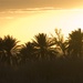 Ohio Guardsman, Nature Iraq partner to preserve environment