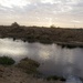 Ohio Guardsman, Nature Iraq partner to preserve environment