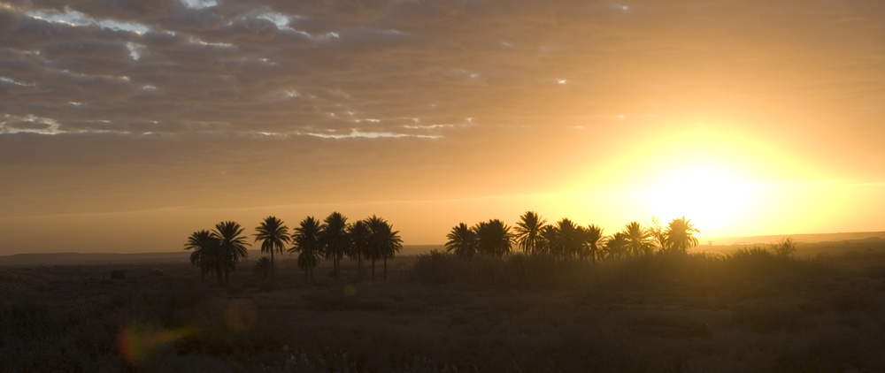 Ohio Guardsman, Nature Iraq partner to preserve environment