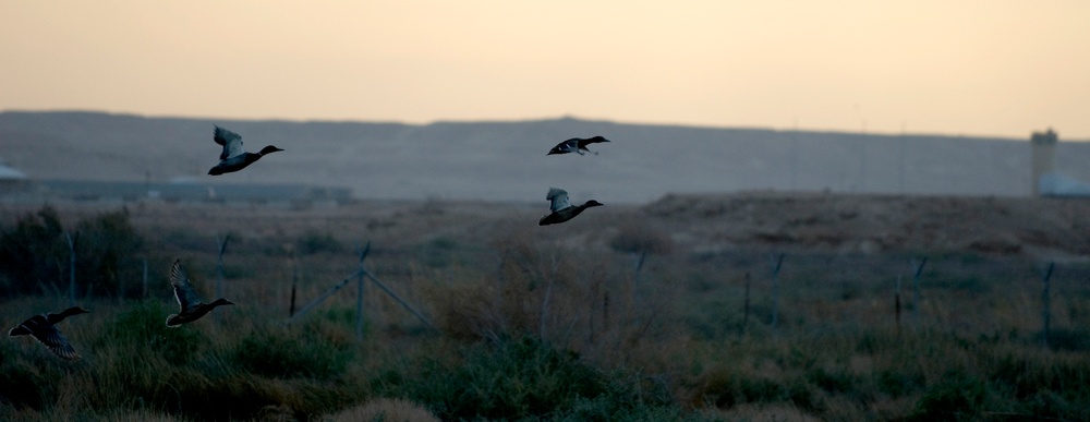 Ohio Guardsman, Nature Iraq partner to preserve environment