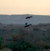 Ohio Guardsman, Nature Iraq partner to preserve environment