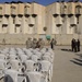 Sha'ab central market returns to Iraqi control