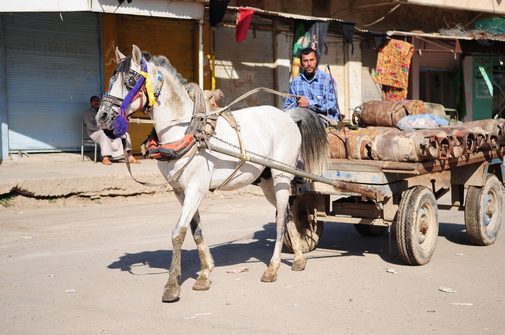 Market patrol in Balad