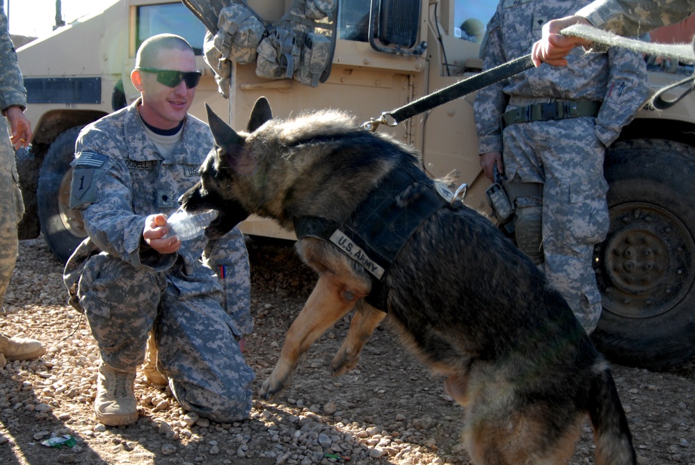 Activities at Forward Operating Base Kalsu