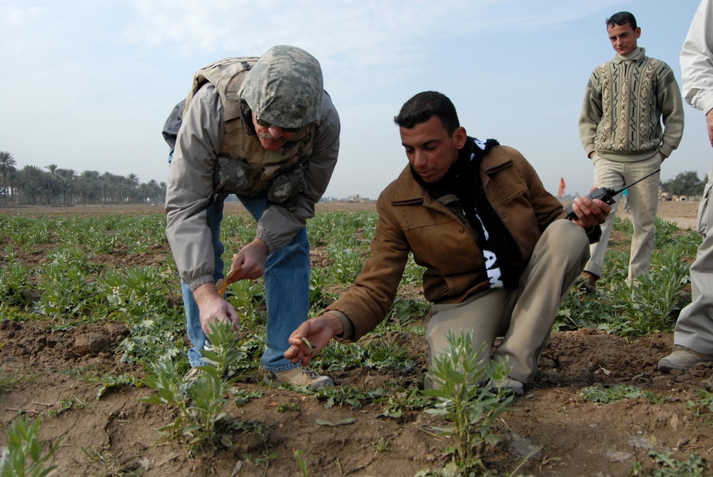 Activities at Forward Operating Base Kalsu