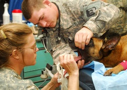 386th and Army Team Up to Keep Working Dog in the Fight