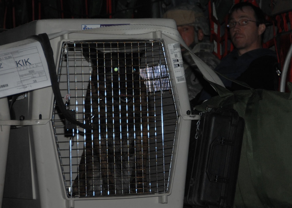 Security Forces Handler and K-9 Head to Iraq