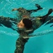 Water Survival Training Colorado Guard Style