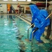 Water Survival Training Colorado Guard Style